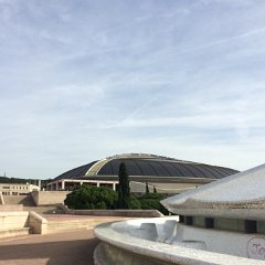 IMG 323